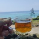 바다다방 이미지