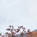 수진제3공영주차장 이미지