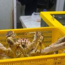 연안부두 어시장마켓 킹크랩 시세 정현상회 회 맛집 후기