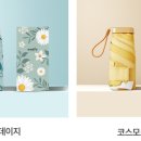 이즐리개