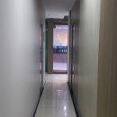 강서구-71 이미지