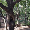 대불근린공원 이미지