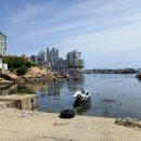 세븐일레븐 울산남진항점 이미지