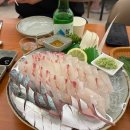 서현로180번길 | 분당 서현역 맛집 추천 [바다어장 서현본점] 활고등어&amp;대도미 후기