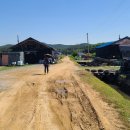 동주로(동주길) 이미지