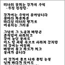 강가의 추억 이미지