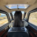 안비양 | [우도 전기차] 우도 전기차 대여 천진낭만과 비양카페 방문 후기