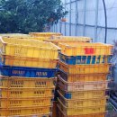 태연1농장 이미지