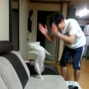 사안사 이미지