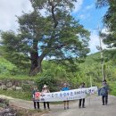 0904 흥양수군 1,000리길 제 13구간, 사도진에서 남열리까지 이미지