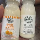 주식회사건강한삶제주엔엔에프 | 갑자기 제주도 여행