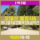 [1박2일 매일출발]강원도BIG3(오대산,설악산)/동해바다열차/양떼목장 기차여행 이미지