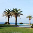 샤인빌리조트(SHINE VILLE RESORT) 이미지