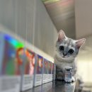 (주)인큐브라인 | 인큐브플랫폼 나노캡슐화 기술 라라트리플C로 미백과 탄력 모두 잡기