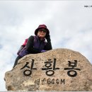 허영근약국 이미지