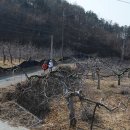 영각농원 2 Daum카페