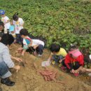 아이미소어린이집 이미지