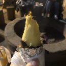 백작농산 | 11월~2월 일상 몰아보기