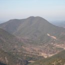 금자광록대부태자첨사의성군김공신도비 | 오토산(五土山)