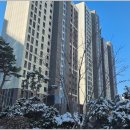 고산공인중개사사무소 이미지