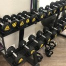 포바디핏 휘트니스 이미지