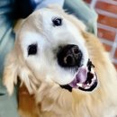 주흥길 77 이미지