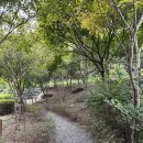 자생식물원 | 충청도 가족여행 큰산자생식물원 후기