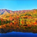 덕산자원(환경) 이미지