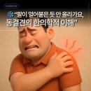 팔통한의원 | 검단신도시한의원 | “팔이 얼어붙은 듯 안 올라가요,동결견의 한의학적 이해”
