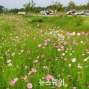 승촌공원 캠핑장 이미지