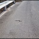 비암농장 이미지