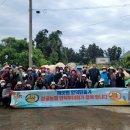 제주감귤농업협동조합안덕지점 이미지