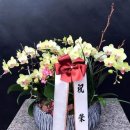 다사랑요양병원 이미지