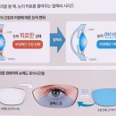 댄디안경원 이미지