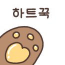 으뜸50안경 화성향남점 이미지