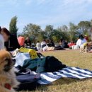 베리떼 동물병원 이미지