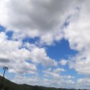 당근카센타 이미지