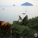 유동어촌체험마을 이미지