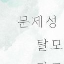 채올