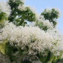 군포-산본-2018 이미지