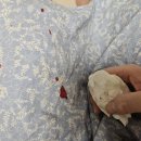 에프엠2차 이미지