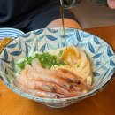 강원식당 | 우동당 / 강원 속초 새마을길맛집 자가제면 붓카케 식당 솔직 방문 후기