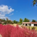 사기막리마을 | 강릉 산속 계곡 카페, 애견 동반 카페, 물놀이 카페, &#34;1992년 사기막&#34; 방문 후기.