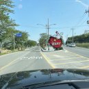 해물밭에 노는 닭 이미지