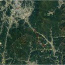 치악산둘레길 9코스 자작나무길 이미지