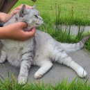 라온캠핑장 이미지