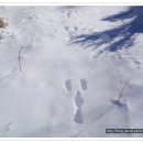 노루마당 이미지