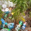 연향상가길 이미지