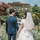 페브러리래빗 이미지