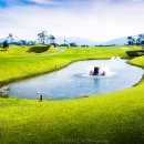 옥과골프장 이미지